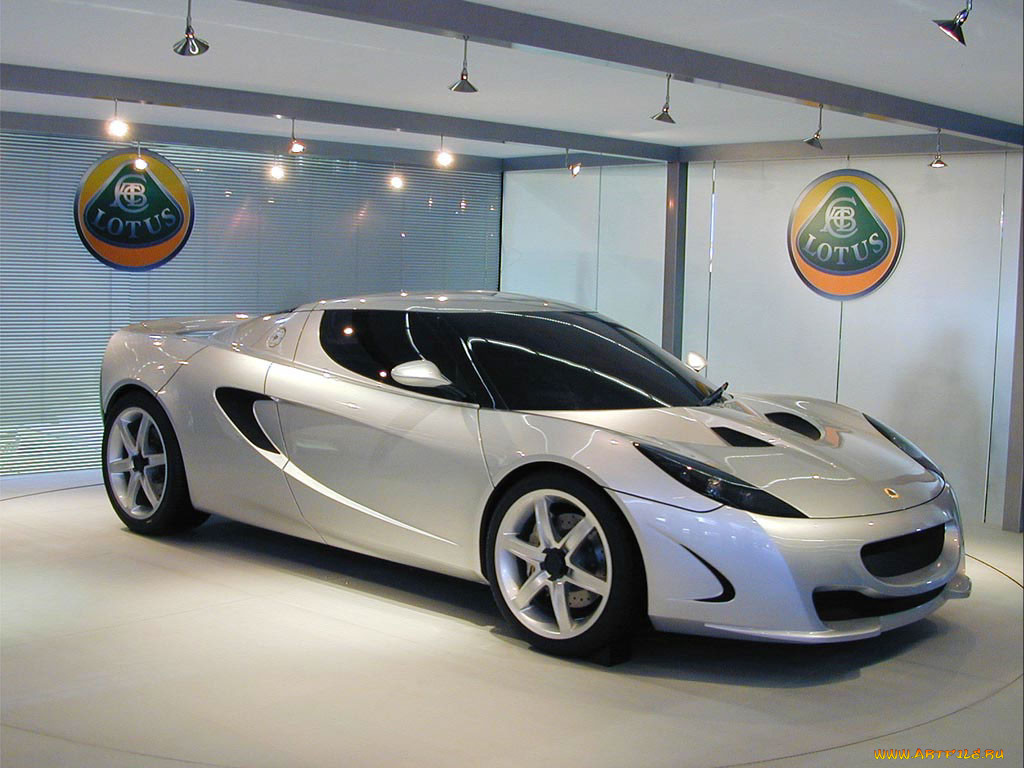 , lotus
